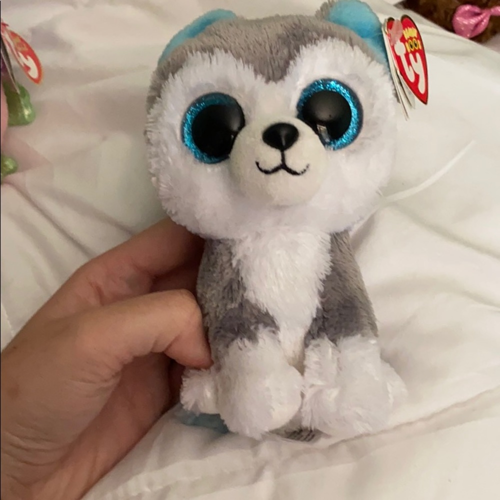 Husky Bernie boo